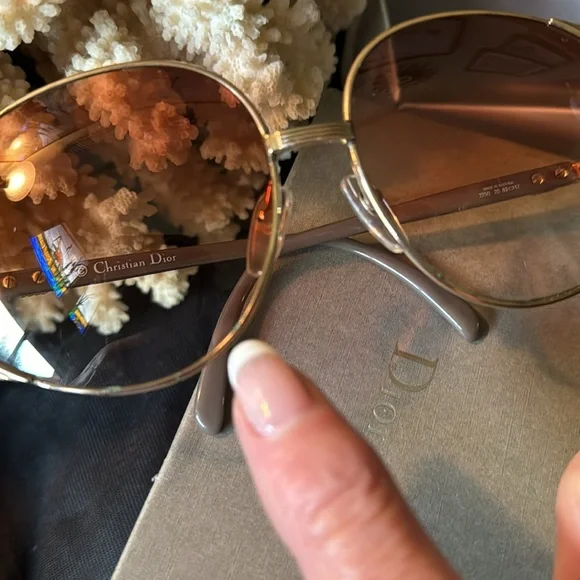 Christian Dior Sunny’s Full Inclusion